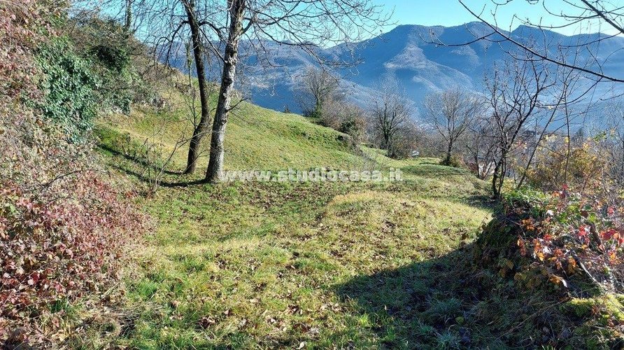 CASETTA RUSTICA IMMERSA NEL VERDE! Zogno