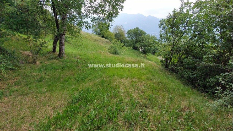 CASETTA RUSTICA IMMERSA NEL VERDE! Zogno