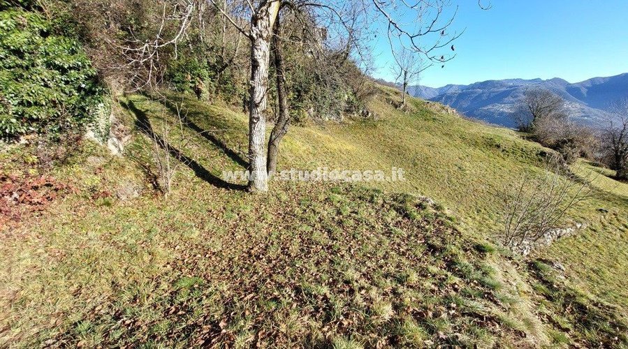 CASETTA RUSTICA IMMERSA NEL VERDE! Zogno