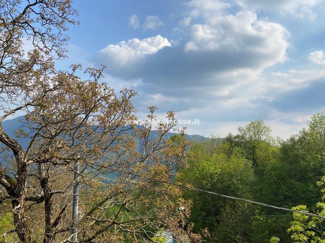 CASETTA RUSTICA IMMERSA NEL VERDE! Zogno