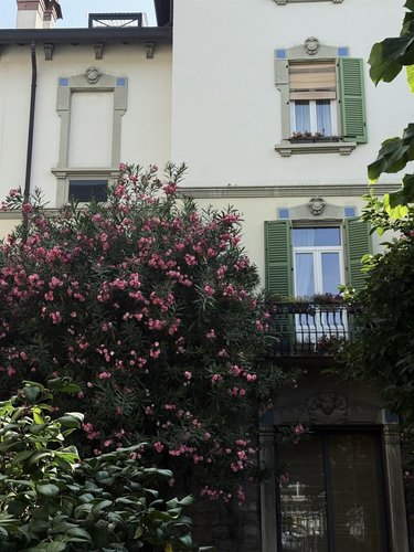 Appartamento 2 locali - Rif. 116185 Como