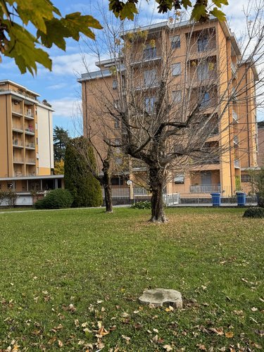 VENDESI TRILOCALE TORRE BOLDONE