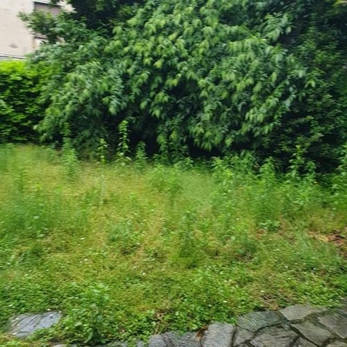 Casa Semindipendente 7 locali - Rif. 318 Como