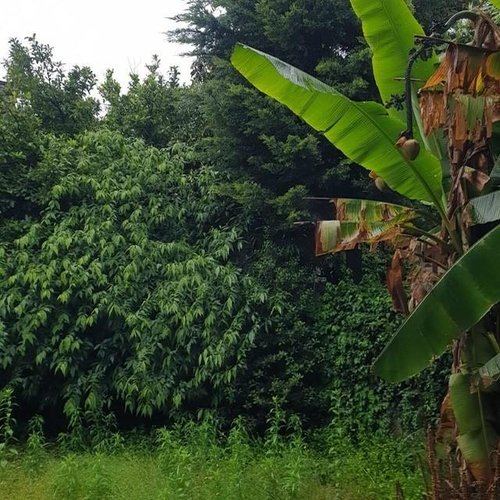 Casa Semindipendente 7 locali - Rif. 318 Como