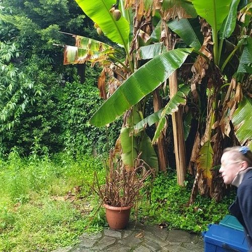 Casa Semindipendente 7 locali - Rif. 318 Como