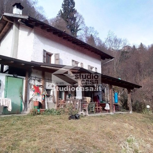 IMMERSA NEL VERDE! OSAI DI PACE E TRANQUILLITA'