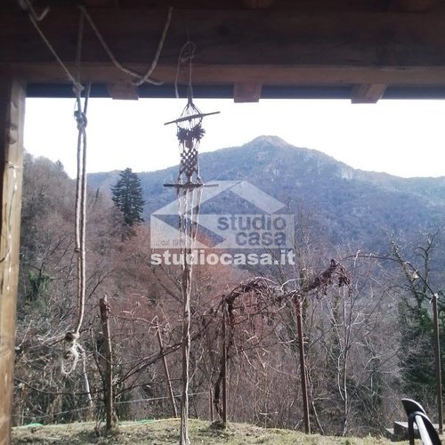 IMMERSA NEL VERDE! OSAI DI PACE E TRANQUILLITA' Dossena