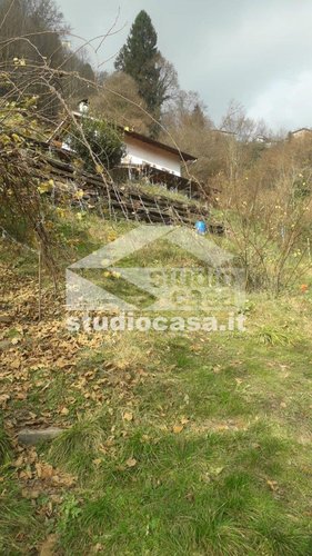 IMMERSA NEL VERDE! OSAI DI PACE E TRANQUILLITA' Dossena