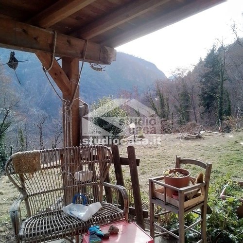 IMMERSA NEL VERDE! OSAI DI PACE E TRANQUILLITA' Dossena