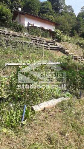 IMMERSA NEL VERDE! OSAI DI PACE E TRANQUILLITA' Dossena