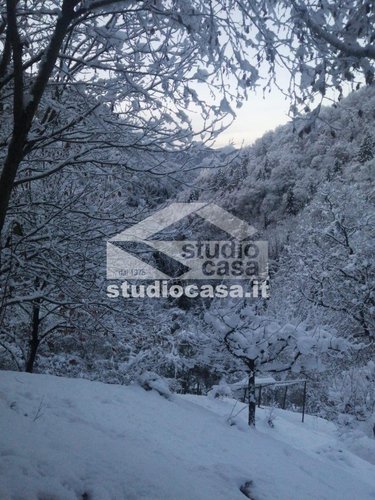IMMERSA NEL VERDE! OSAI DI PACE E TRANQUILLITA' Dossena