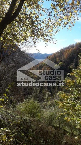 IMMERSA NEL VERDE! OSAI DI PACE E TRANQUILLITA' Dossena