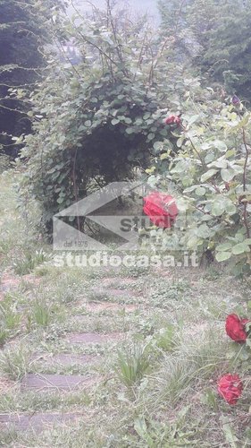 IMMERSA NEL VERDE! OSAI DI PACE E TRANQUILLITA' Dossena