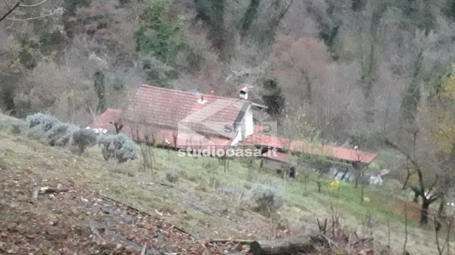 IMMERSA NEL VERDE! OSAI DI PACE E TRANQUILLITA' Dossena