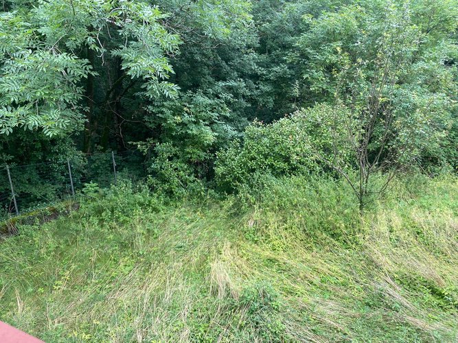 IMMERSA NEL VERDE! Brumano