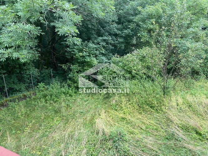 IMMERSA NEL VERDE! Brumano