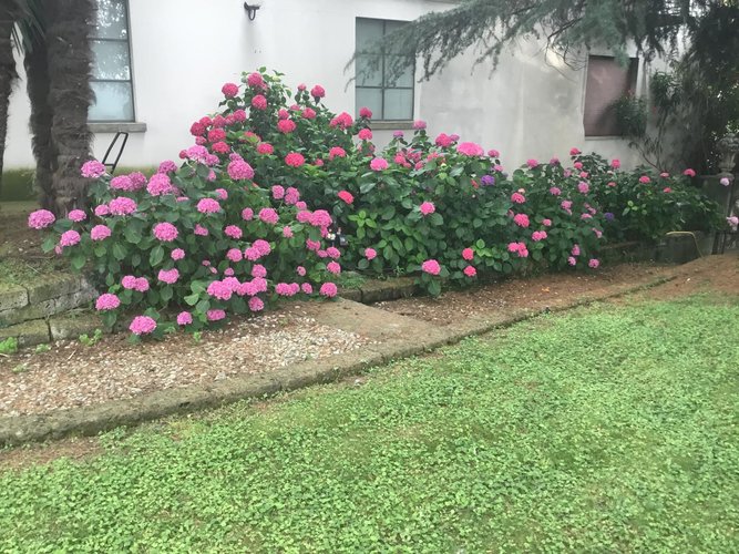 VILLA SETTECENTESCA VENDESI Bottanuco