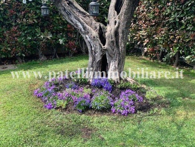 TREVIOLO - PORZIONE VILLA BIFAMILIARE Treviolo