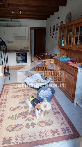 SUPER PANORAMICA!!! Algua