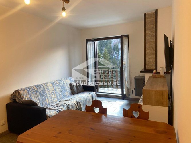 IMMERSO NEL VERDE! Oltre il Colle