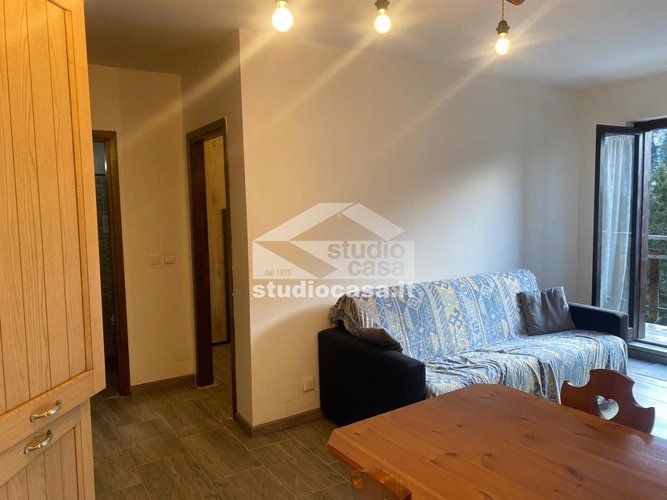 IMMERSO NEL VERDE! Oltre il Colle