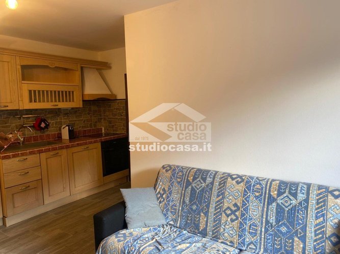 IMMERSO NEL VERDE! Oltre il Colle