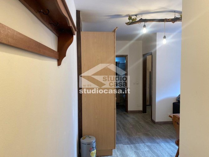 IMMERSO NEL VERDE! Oltre il Colle