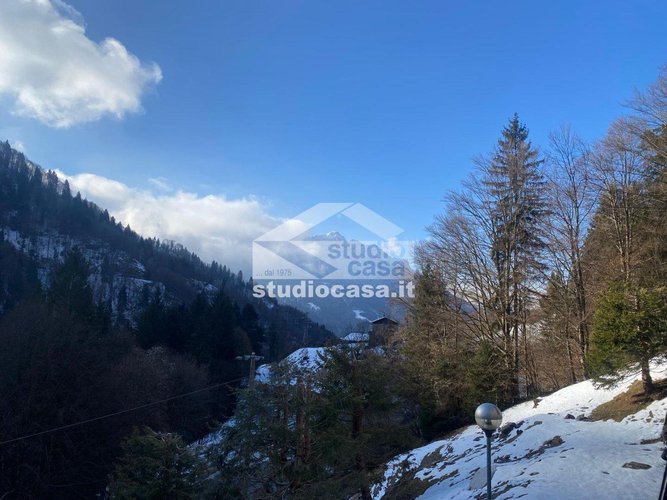 IMMERSO NEL VERDE! Oltre il Colle