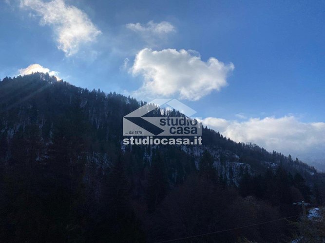 IMMERSO NEL VERDE! Oltre il Colle