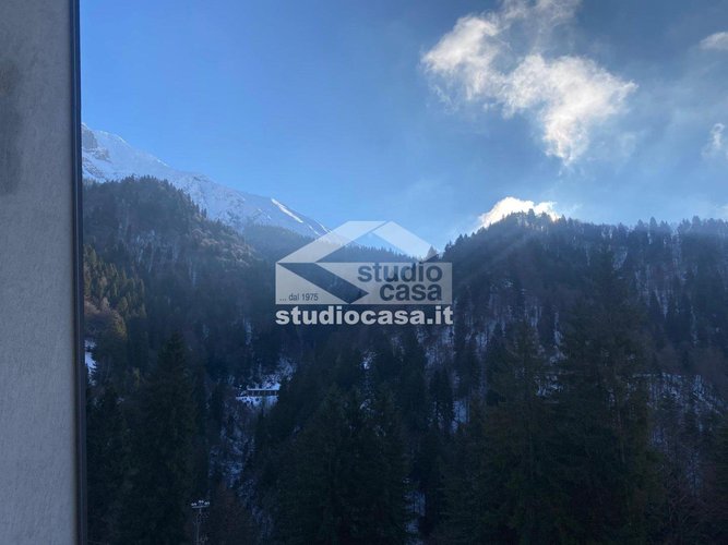 IMMERSO NEL VERDE! Oltre il Colle