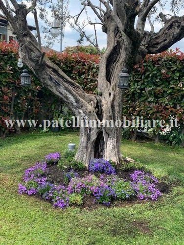 TREVIOLO - PORZIONE VILLA Treviolo