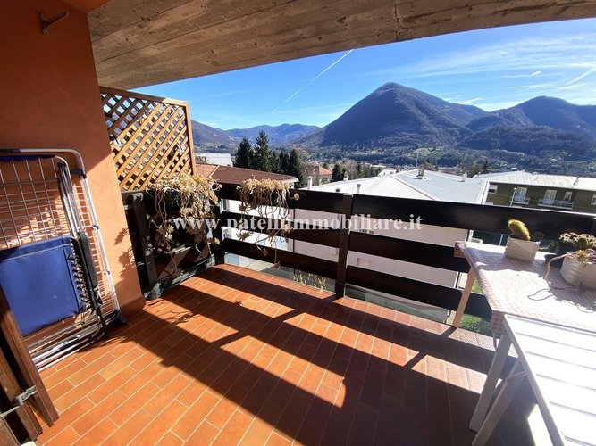 ALBINO ALTA - VENDESI AMPIO TRILOCALE Albino