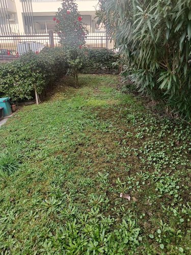 Appartamento 2 locali - Rif. 242 Como