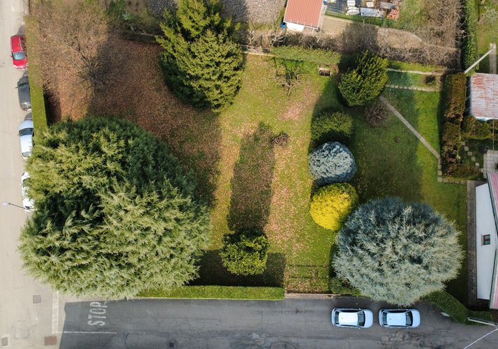 Semi-centrale 10/26 Cantù