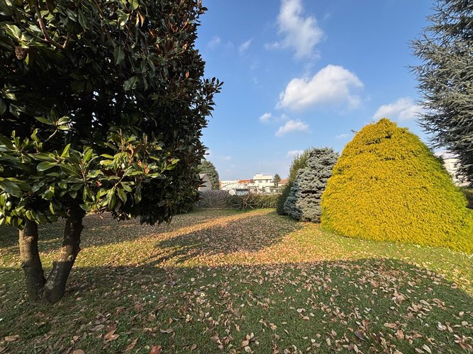 Semi-centrale 10/26 Cantù