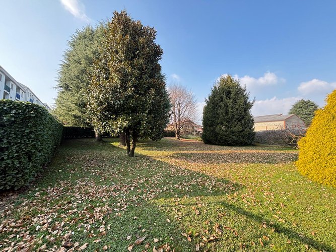 Semi-centrale 10/26 Cantù