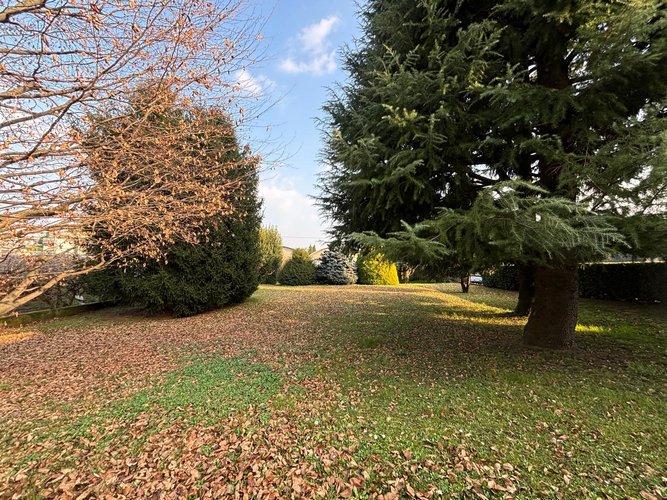 Semi-centrale 10/26 Cantù