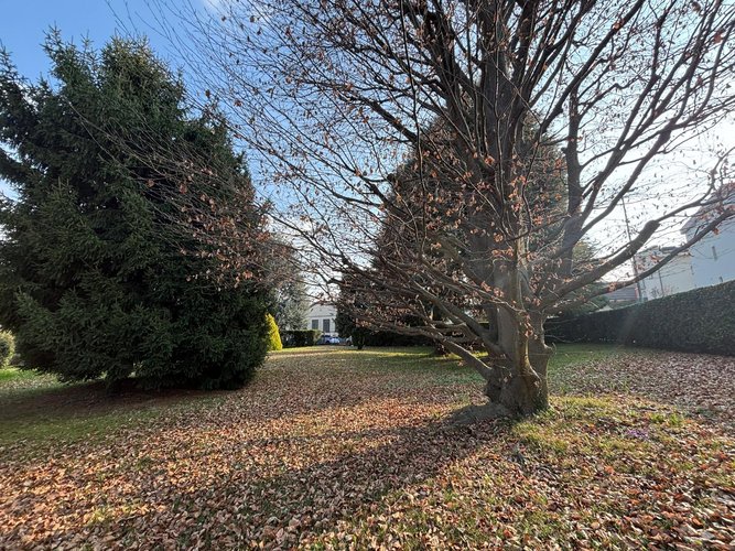 Semi-centrale 10/26 Cantù