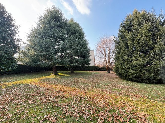 Semi-centrale 10/26 Cantù