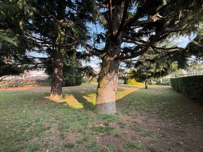 Semi-centrale 10/26 Cantù