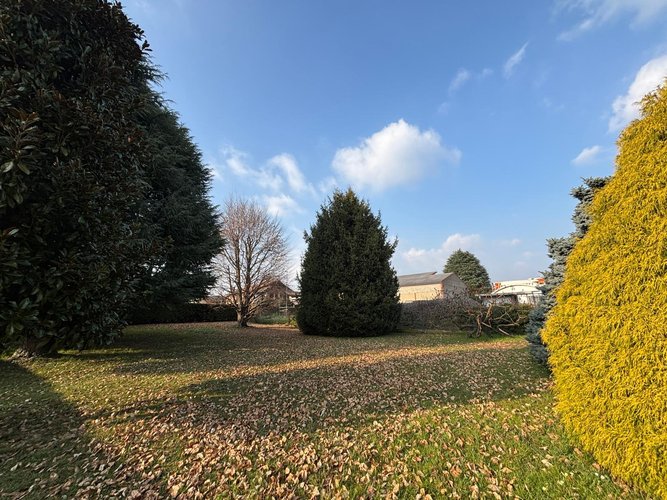 Semi-centrale 10/26 Cantù