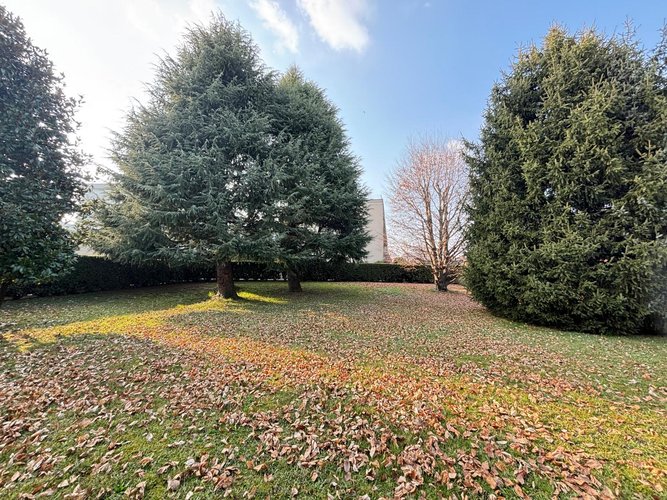 Semi-centrale 10/26 Cantù