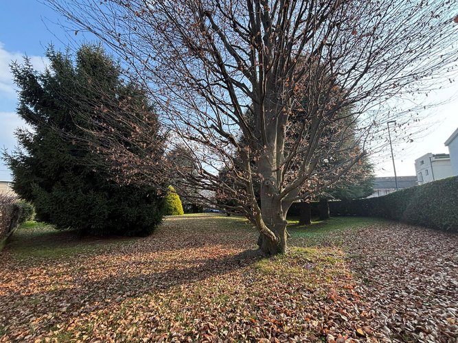 Semi-centrale 10/26 Cantù