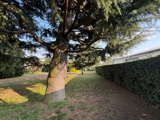 Semi-centrale 10/26 Cantù