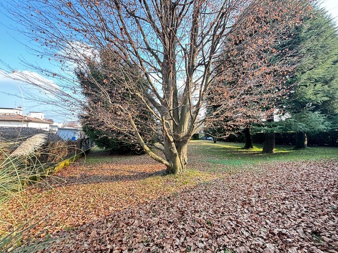 Semi-centrale 10/26 Cantù