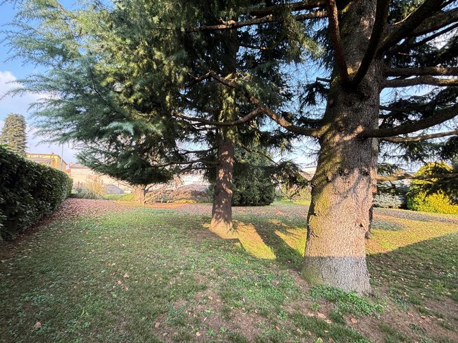 Semi-centrale 10/26 Cantù