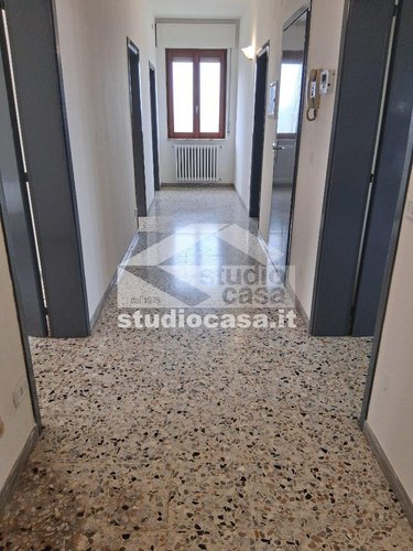 IMMERSA NEL VERDE! Bedulita