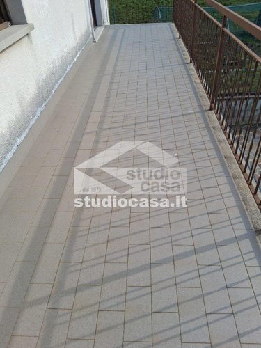 IMMERSA NEL VERDE! Bedulita