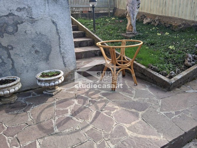 IMMERSA NEL VERDE! Bedulita