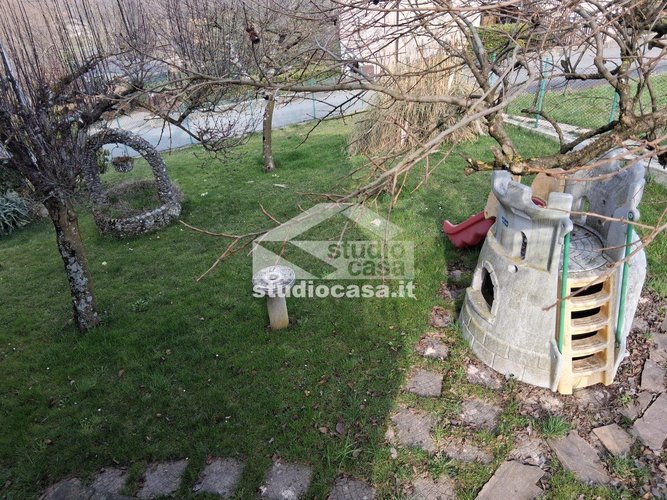 IMMERSA NEL VERDE! Bedulita